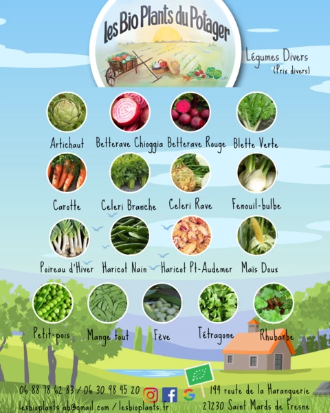 Les Bio Plants du Potager