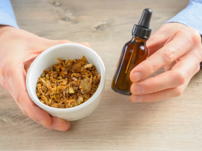 La propolis, l'élément protecteur de la santé des abeilles