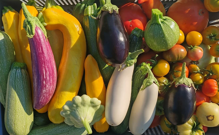 Aux jardins des jeunes pousses - Aux Jardins des Jeunes Pousses