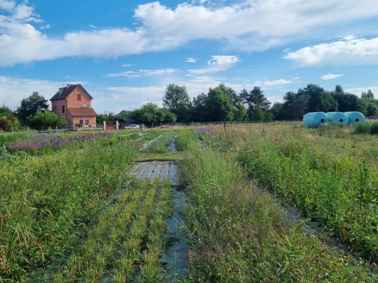 L'exploitation - Fleurs de la Varende