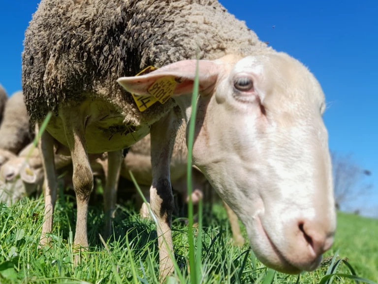 La ferme & le lait  - Le Fermier Gourmand