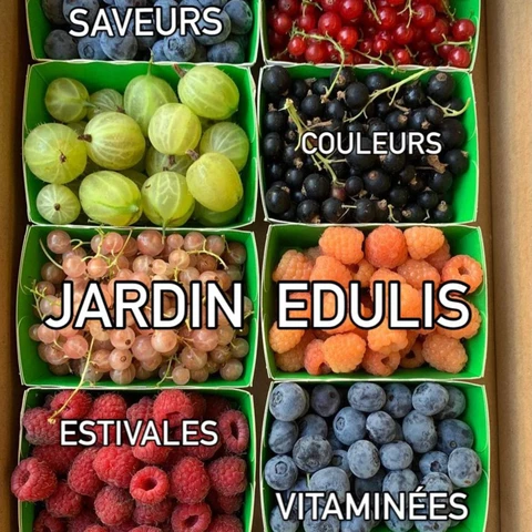 JARDIN EDULIS