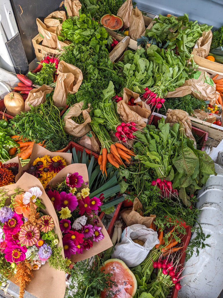 Comment acheter nos produits ?