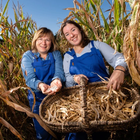 Les Délices de Nanou