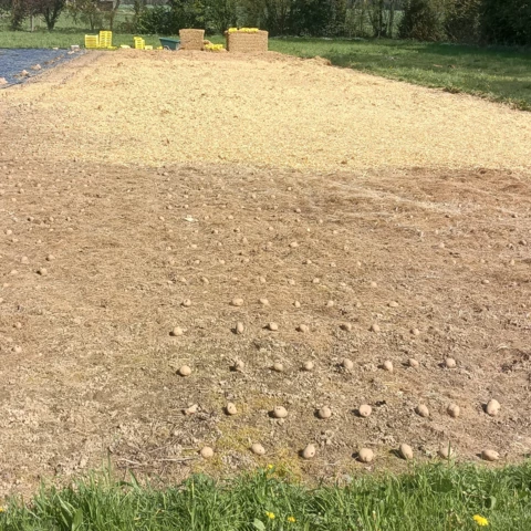 GAEC les petits bregeons