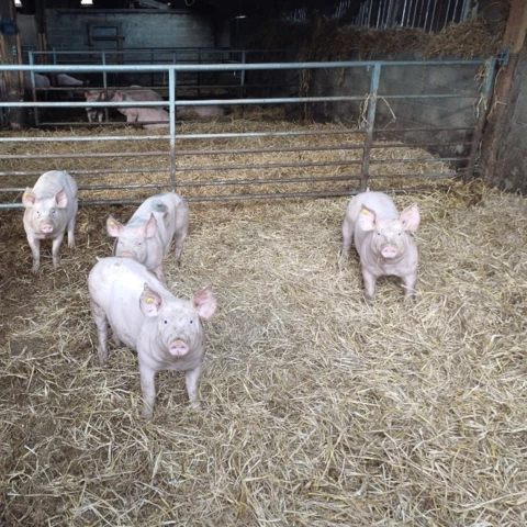 La Ferme D'Enez Rouz