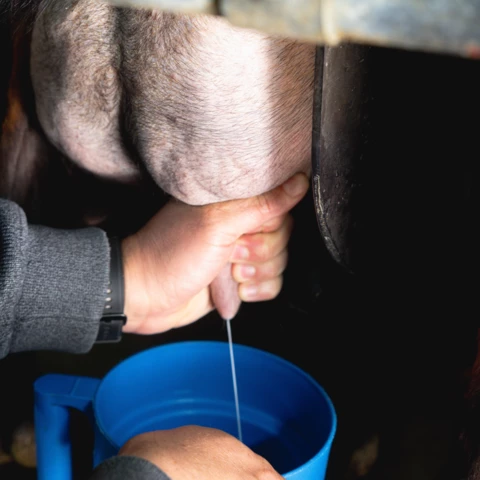 FERME DE LA BROSSE