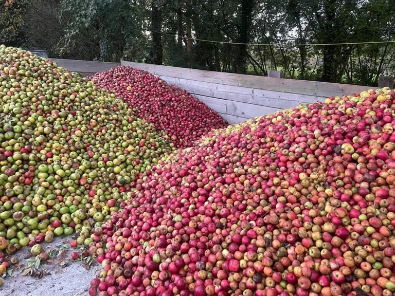 Cidrerie artisanale - Manoirs & Terroirs