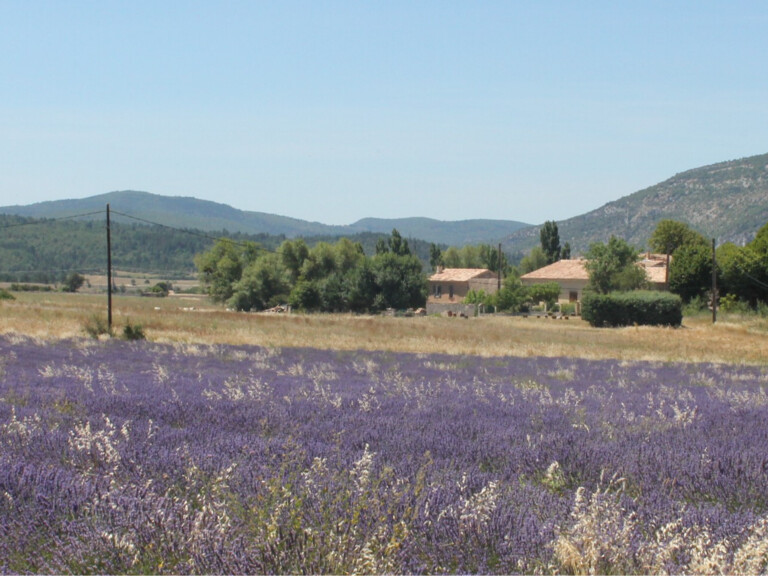 Cosmétiques naturels, plantes aromatiques, légumes : une petite ferme diversifiée au coeur Parc Naturel Régional du Mont Ventoux