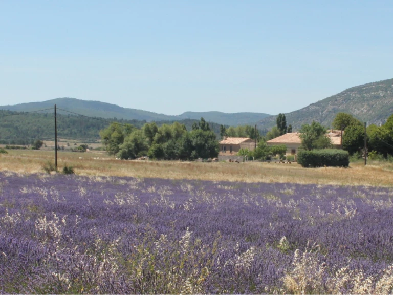 Cosmétiques naturels, plantes aromatiques, légumes : une petite ferme diversifiée au coeur Parc Naturel Régional du Mont Ventoux