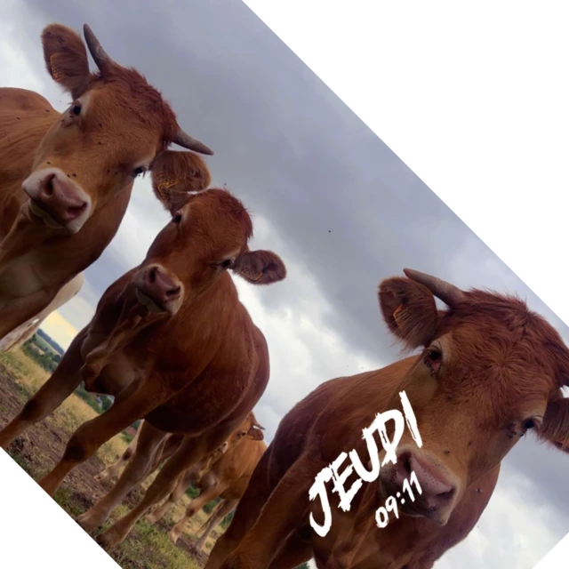 Galerie - La ferme d'Oliveau