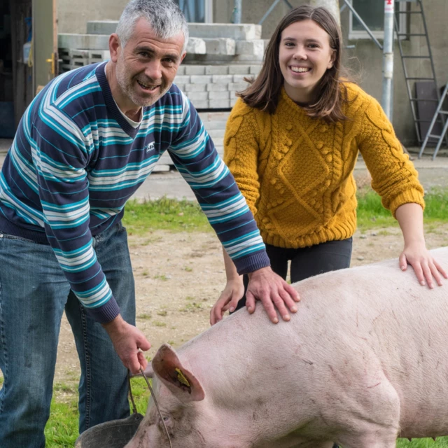 Galerie - Ty Pig