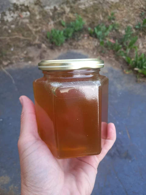 vivre avec l'abeille