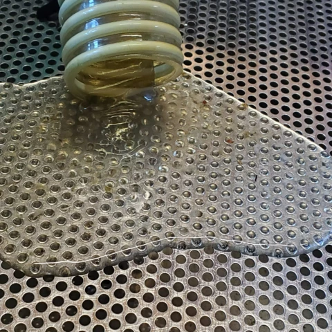 L'Abeille et les Reines d'Argonne