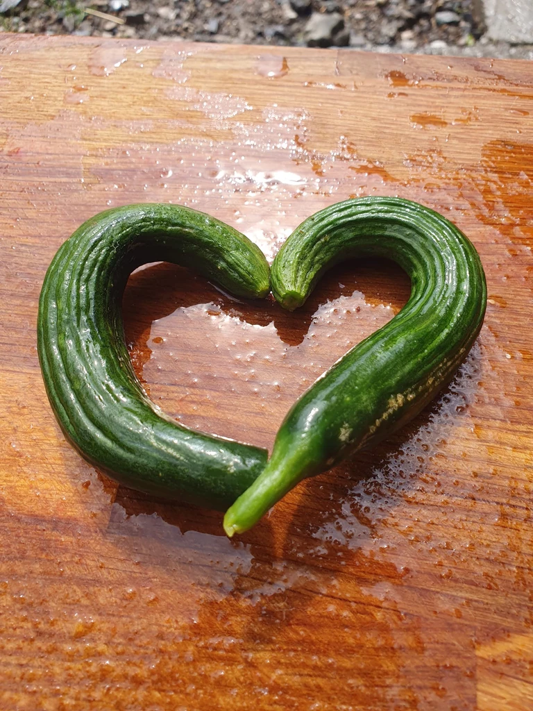 Les Légumes Moches : Bons pour la Planète, Excellents dans l'Assiette - Bienvenue