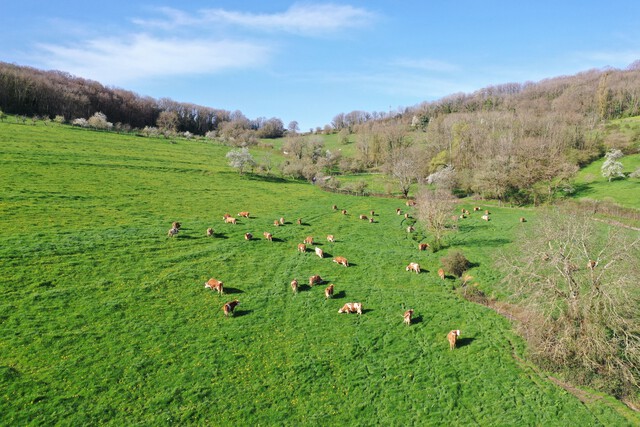 Galerie - La ferme de l'Oze