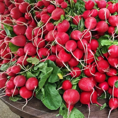 Les Maraîchers de l'Auberdière