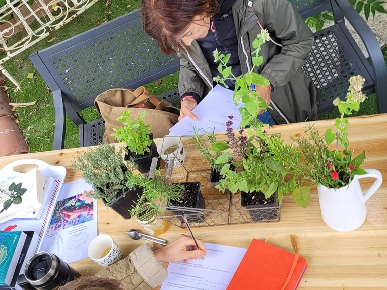 Conseils et Animation - Le Rythme de ton Jardin