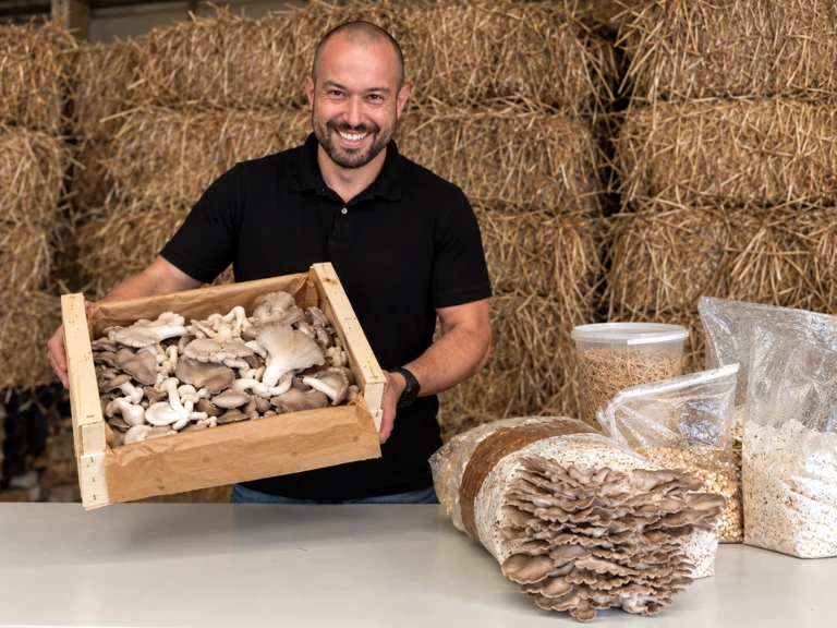 Une champignonnière locale et artisanale - ExFungos - Champignons