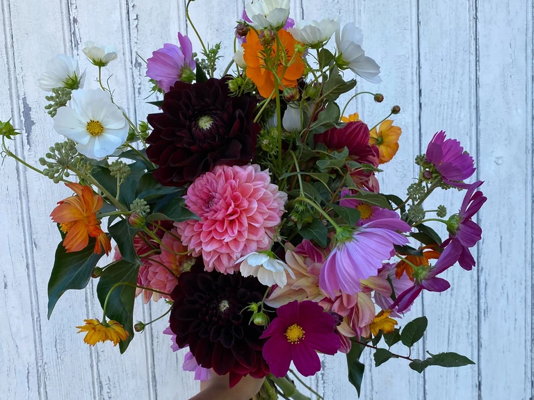 💐 Des fleurs sur commande - Floralice Ferme Florale
