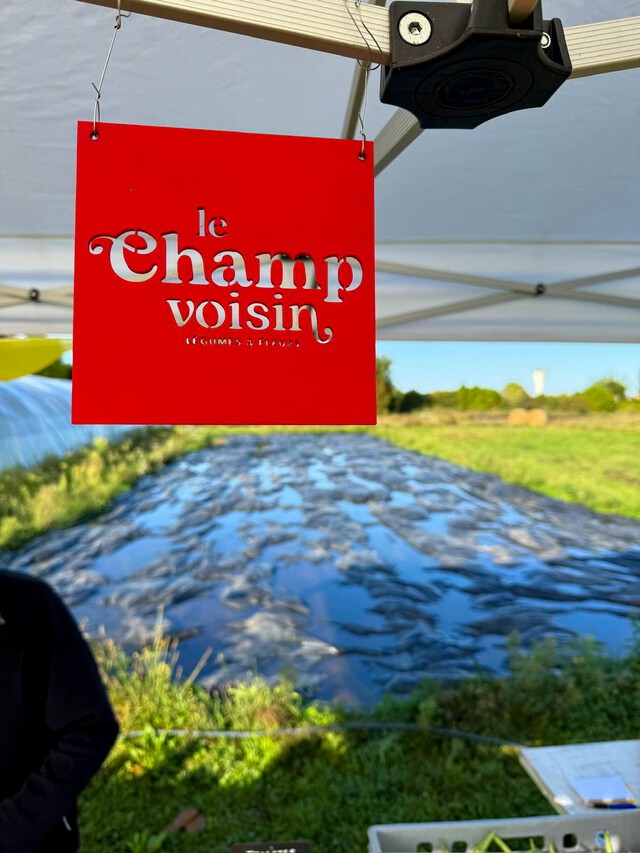 Galerie - Le champ voisin