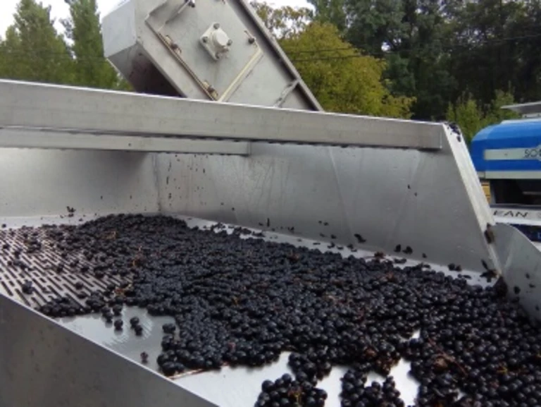 Notre Chai - DOMAINE DES ROUILLATS