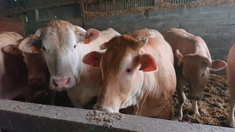Ferme auberge du Pré Molaine