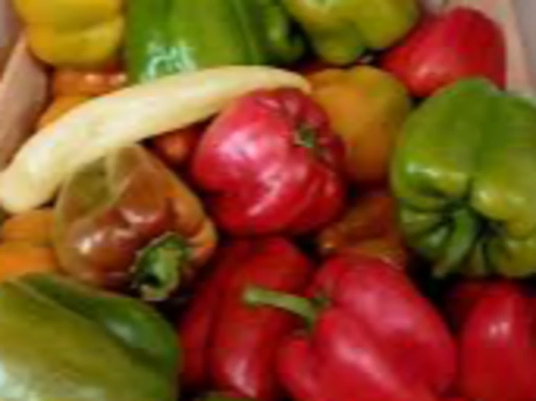 Les jardins... - Les Jardins d'Emilien