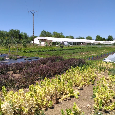 Les Jardins d'Aubenas