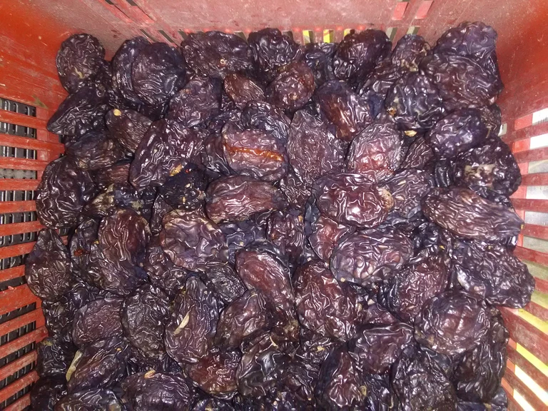 Nos prunes, œufs et produits de saison - Ferme de Marouty