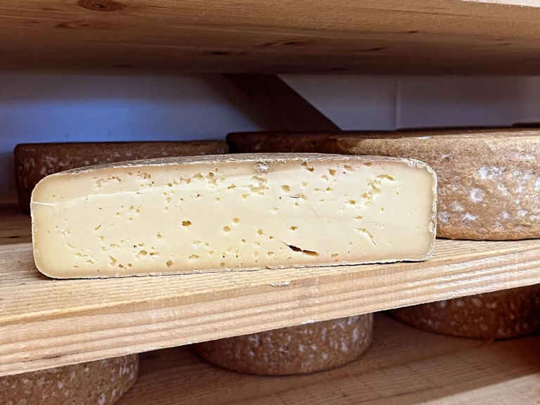 Tomme des Pyrénées IGP