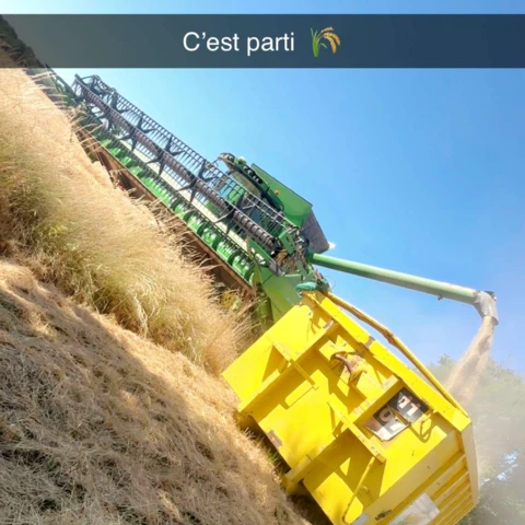 autre temps fort.. la moisson, de bonnes céréales pour nourrir les animaux - La ferme d'Oliveau