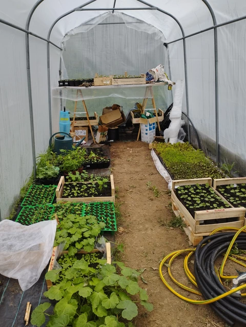 Herbes et Butineries