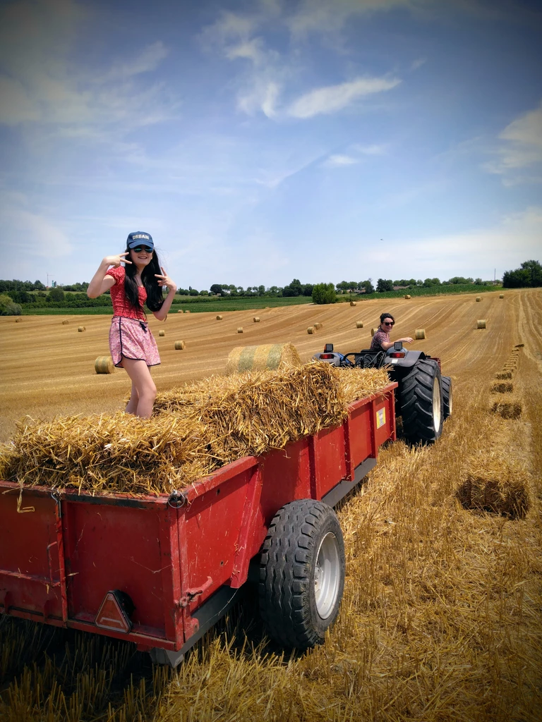 # La ferme au fil des saisons Quelques images de notre quotidien à la Ferme de Marouty. Les animaux dans les prairies, les travaux des champs, les vergers, les récoltes, la fabrication des fromages et les différents moments qui rythment notre année agricole. Ces photographies permettent de découvrir notre ferme autrement, au fil des saisons et de notre travail. - Ferme de Marouty