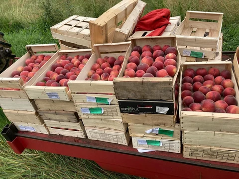 LES VERGERS DE SAUVAGNAS