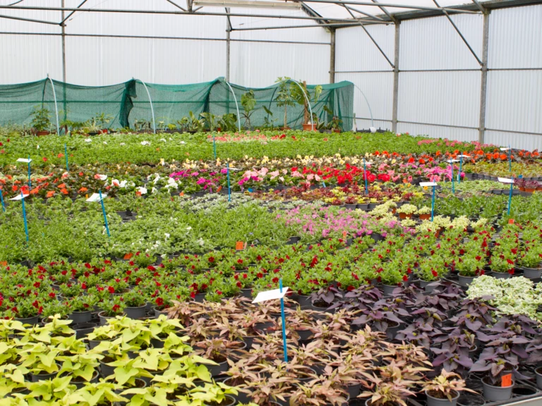 Bienvenue aux Jardins de la Tour