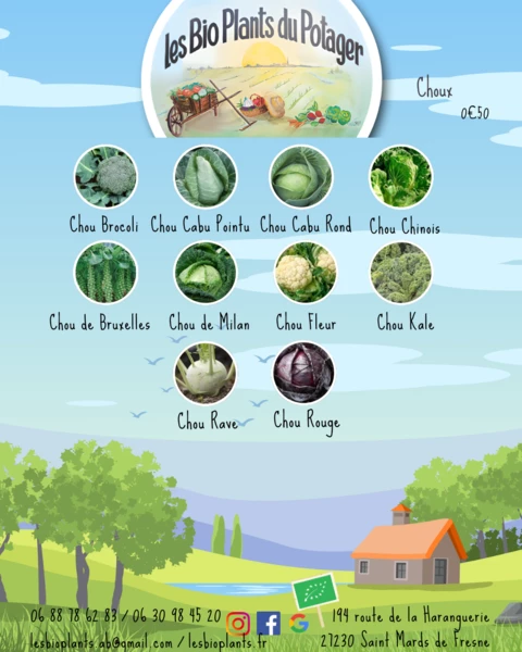 Les Bio Plants du Potager