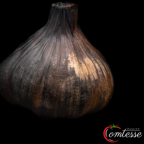 EARL LA COMTESSE