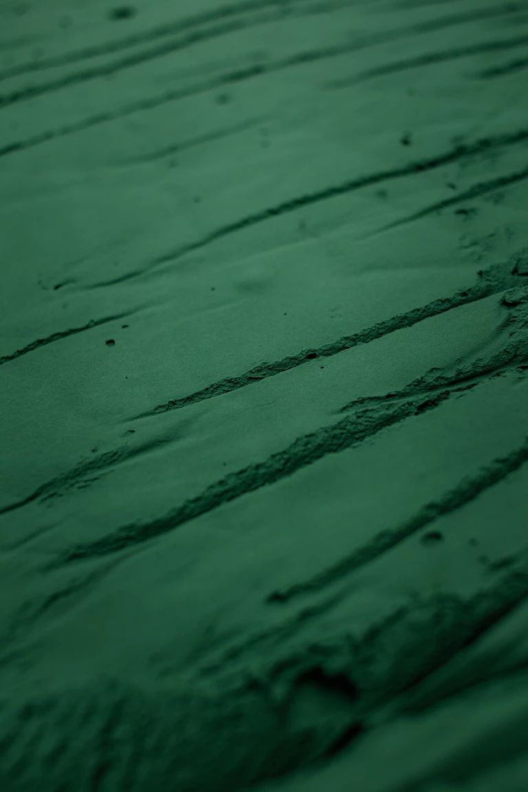  Et la spiruline fraîche, avez-vous goûté!?