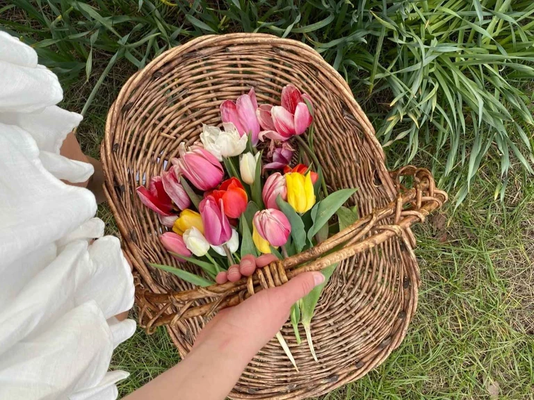✂️ Auto-cueillette - Floralice Ferme Florale