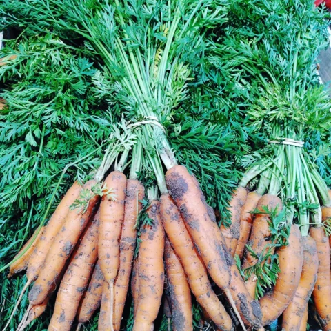 La Ferme des Tilleuls