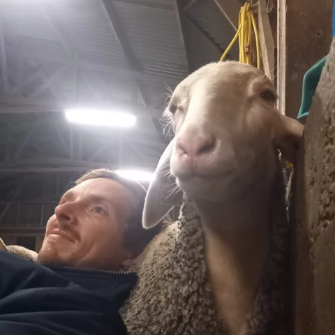 Bergerie de Kroaz Min