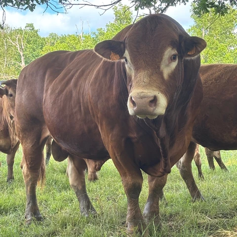 La Ferme De La Bauberie