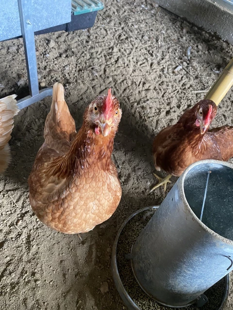 GAEC les jardins du mas serra