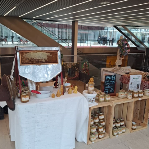 vivre avec l'abeille