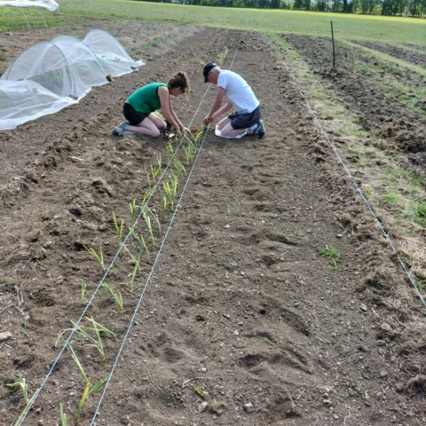 La ferme du bon'heur