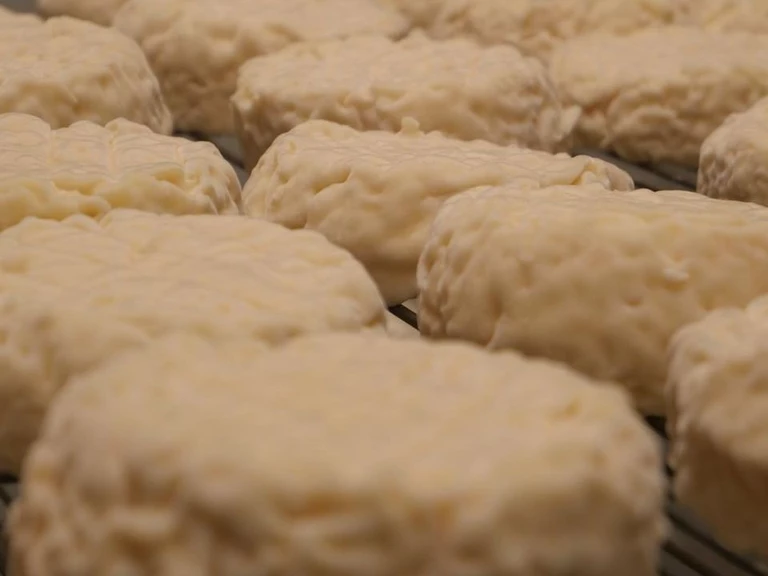 Du lait au fromage, comment ça marche ? - Les Folies Caprines