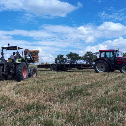 La Ferme de  Cabr'à roque