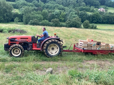 LES VERGERS DE SAUVAGNAS