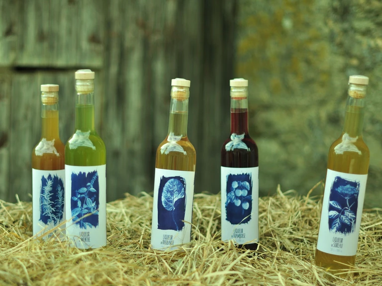 Les liqueurs et eaux-de-vie - Miellerie - Distillerie Dandelion